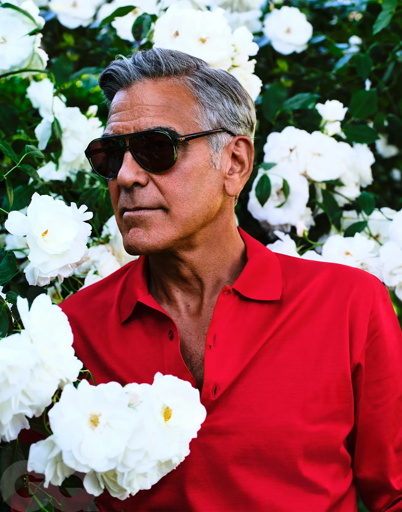 Clooney Pitt 6